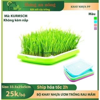 KURM5CM - Sét 4 khay nhựa PP chuyên trồng các loại rau mầm nắp bán riêng size 33.5x25x5cm