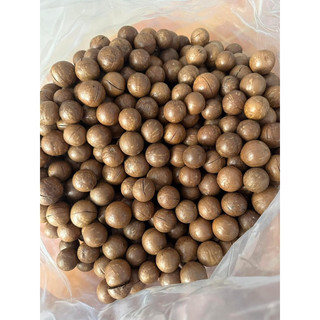 500g mắc ca sấy nứt size đại nhà vườn Đắk Lắk