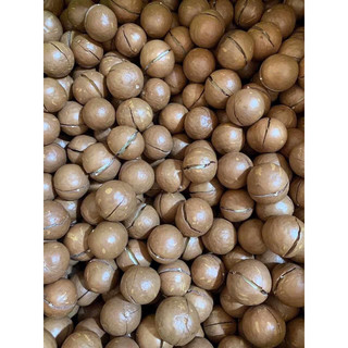 500g mắc ca sấy nứt size đại nhà vườn Đắk Lắk