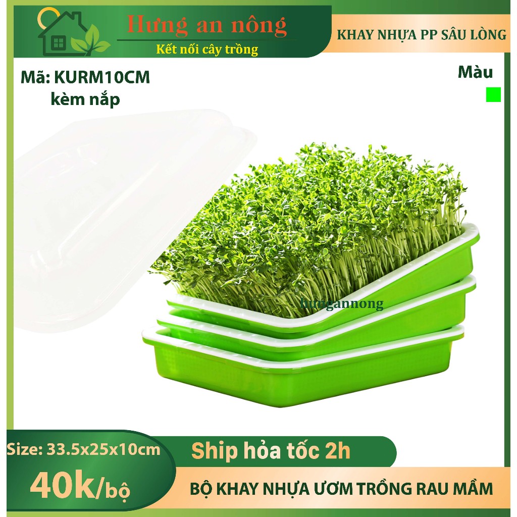 KURM10CM - Bộ khay nắp nhựa sâu lòng chuyên trồng các loại rau mầm
