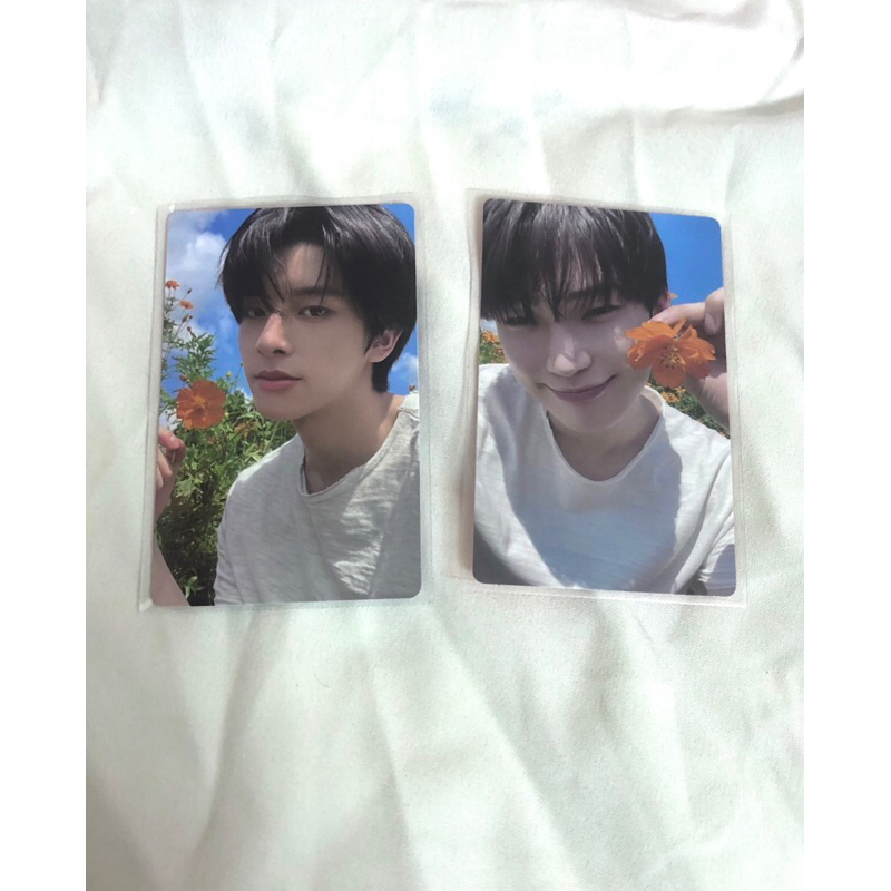 Card Enhypen Album Orange Blood