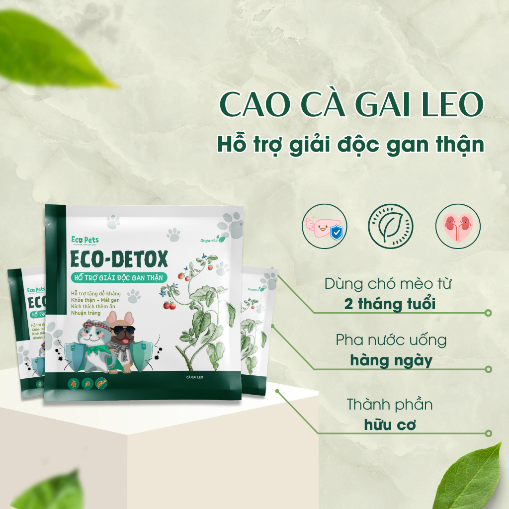 Giải Độc Gan Thận ECO DETOX & Thuốc Bổ Máu ECO IRON - Thực Phẩm Chức Năng Giành Cho Chó Mèo
