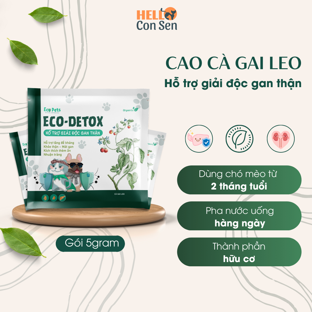 Giải Độc Gan Thận ECO DETOX & Thuốc Bổ Máu ECO IRON - Thực Phẩm Chức Năng Giành Cho Chó Mèo