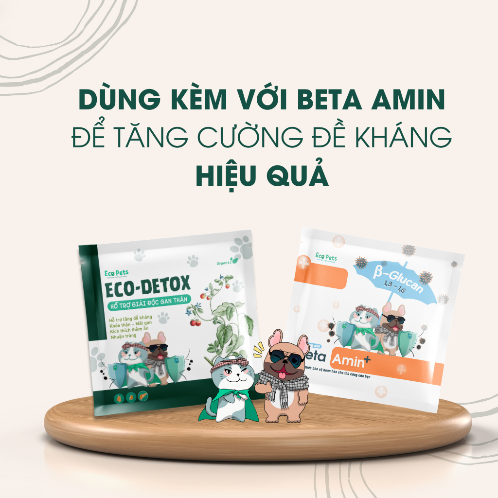 Giải Độc Gan Thận ECO DETOX & Thuốc Bổ Máu ECO IRON - Thực Phẩm Chức Năng Giành Cho Chó Mèo