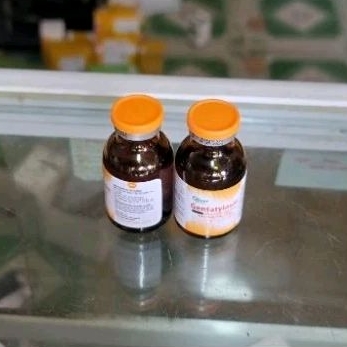 Chai Gen ta ty lo sin chuyên h o, th ở, v iêm p hổi dùng cho thú cưng