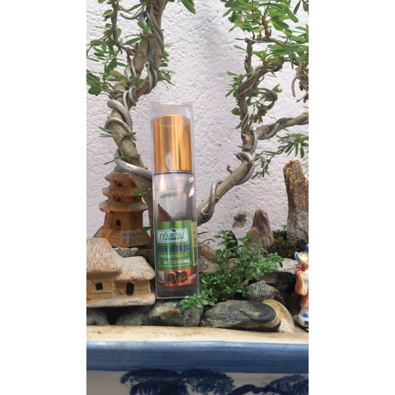 Dầu Lăn Thảo Dược - Ginseng Thái Lan