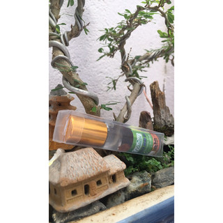 Dầu Lăn Thảo Dược - Ginseng Thái Lan