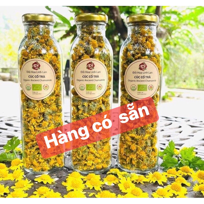 CÚC CỔ TRÀ KAROSE date mới 2024( thơm ngon , bổ dưỡng, hỗ trợ giấc ngủ ngủ ngon ,hàng theo mùa vụ hết hàng nhanh )
