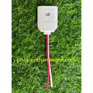 Combo 100 Phích âm - phích cái - phích điện