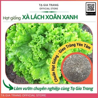Hạt giống rau xà lách xoăn xanh
