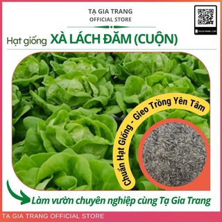 Hạt giống xà lách búp (xà lách đăm cuộn) xanh