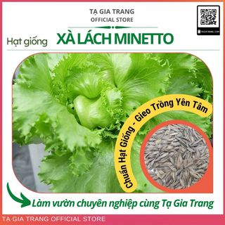 Hạt giống xà lách chịu nhiệt Minetto - Shop hạt giống Tạ Gia Trang