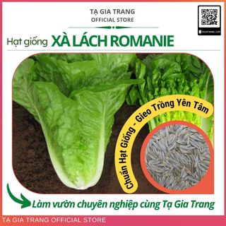 Hạt giống rau xà lách Romaine - Shop hạt giống Tạ Gia Trang