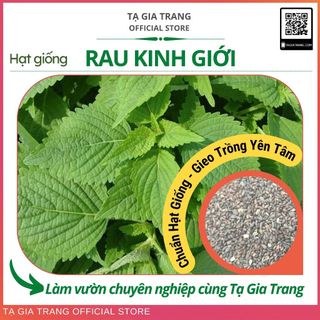 Hạt giống rau kinh giới - Shop hạt giống Tạ Gia Trang