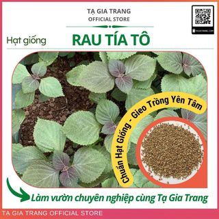 Hạt giống rau tía tô - Shop hạt giống Tạ Gia Trang