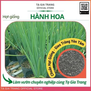 Hạt giống hành hoa (hành lá) cao sản - Shop hạt giống Tạ Gia Trang