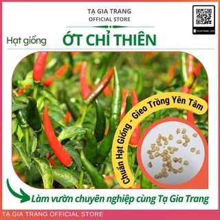 Hạt giống Ớt chỉ thiên F1 siêu cay