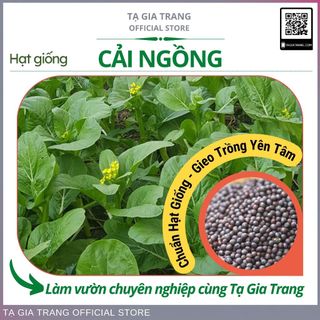 Hạt giống rau cải ngồng (cải ngọt bông)