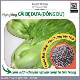 Hạt giống cải bẹ dưa (cải bẹ Đông Dư, cải bẹ muối dưa)