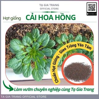 Hạt giống rau cải hoa hồng