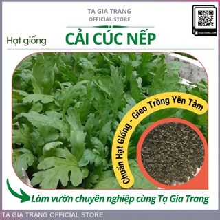 Hạt giống rau cải cúc nếp (tần ô lá tròn) - Shop hạt giống Tạ Gia Trang
