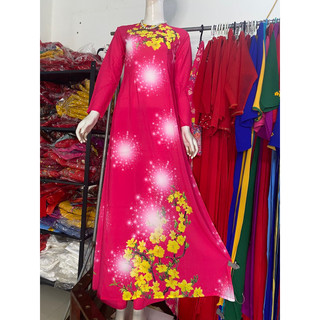 Ao dai 3d ca bộ smlxl