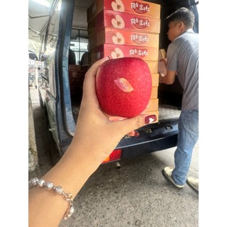 Thùng táo đỏ nhật 10 trái - 2.5kg lun thùng