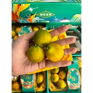 [ JENNY FRUIT ] [ HỎA TỐC ] THÙNG KIM QUẤT TRÁI LỚN - 6 hộp 500gr