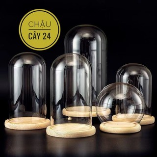 Chụp Thủy Tinh Đế Gỗ có đèn LED trang trí tiểu cảnh để bàn, nến thơm, quà tặng handmade ý nghĩa