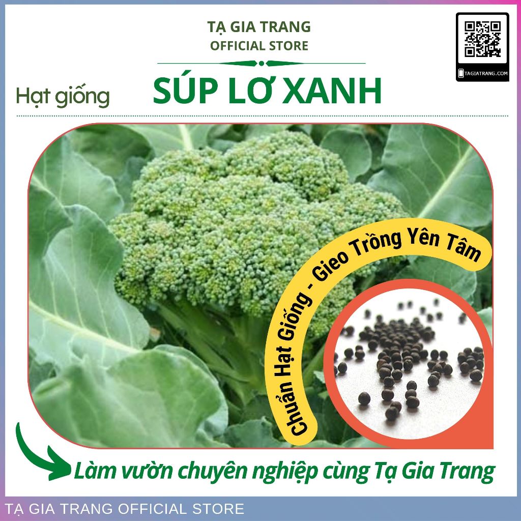 Hạt giống súp lơ xanh (bông cải xanh)