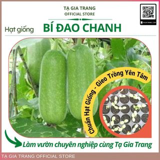 Hạt giống bí đao chanh (bí đao thanh trúc)