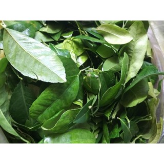 Lá chanh tươi 100g
