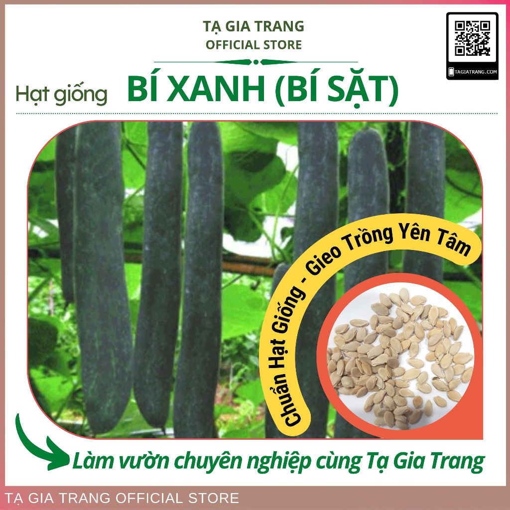 Hạt giống bí đao (bí xanh - bí sặt) cao sản - Shop hạt giống Tạ Gia Trang