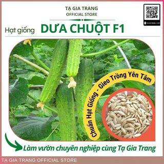 Hạt giống dưa chuột F1 (dưa leo) cao sản - Shop hạt giống Tạ Gia Trang