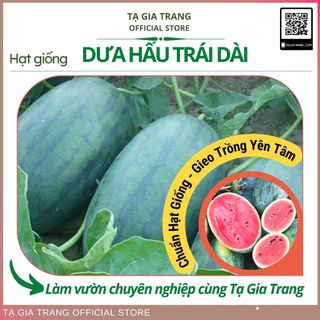 Hạt giống dưa hấu trái dài, vỏ mỏng, vị ngọt mát - Shop hạt giống Tạ Gia Trang
