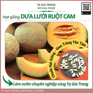 Hạt giống dưa lưới trắng ruột cam ( ruột vàng )