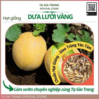 Hạt giống Dưa lưới vỏ vàng ruột xanh