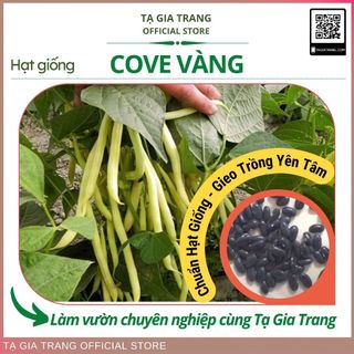 Hạt giống đậu cove vàng (đậu cô bơ)