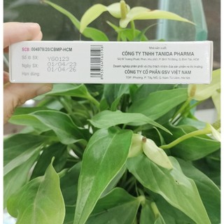 ✅[CHÍNH HÃNG] Young GSV làm mờ sẹo, giảm thâm