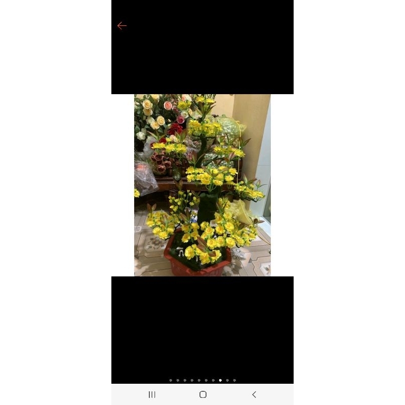 0.5kg Hoa Mai, Hoa Đào rời, Mai chùm, Đào Chùm, Mai gói Mai Bịch làm cây trang trí.