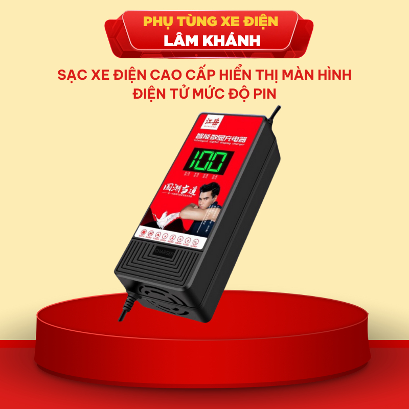 Sạc Xe Điện Cao Cấp Hiển Thị Màn Hình Điện Tử Mức Độ Pin, Chế Độ Tự Ngắt, Chống Phồng Bình (48V12ah/20ah, 60V/70V20ah)