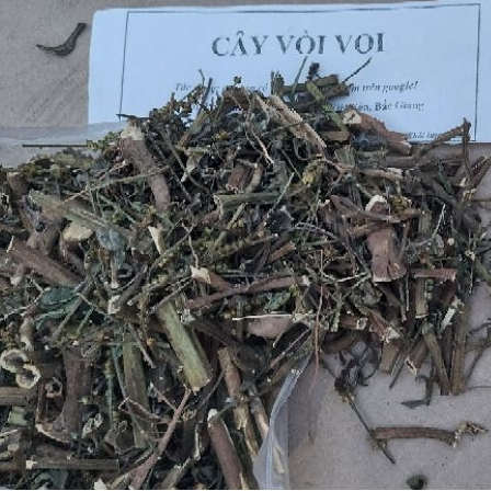 Cây vòi voi khô phơi tay thơm ngon - hỗ trợ ung thư, viêm da cơ địa