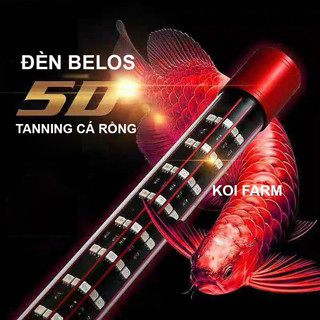 Đèn led no1 5d bellos 70cm 90cm 110cm 140cm - đèn led 5 hàng bóng đỏ cá không đỏ nước