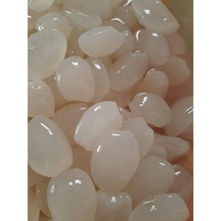1 Ký Hạt đác rừng Nha Trang size trung nhỏ dẻo ngon, không cứng