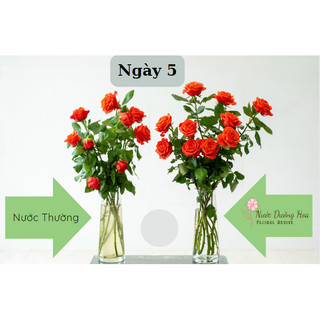 Nước dưỡng hoa HANA 10ml (Pha cho 0.5 lít nước)