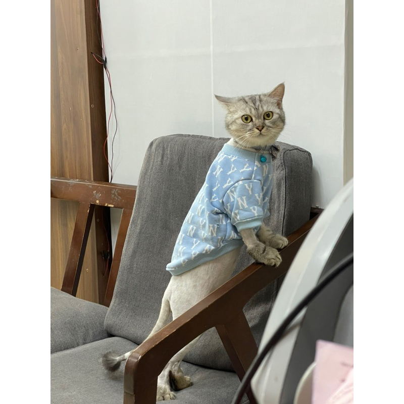 Áo nỉ NY cho chó mèo