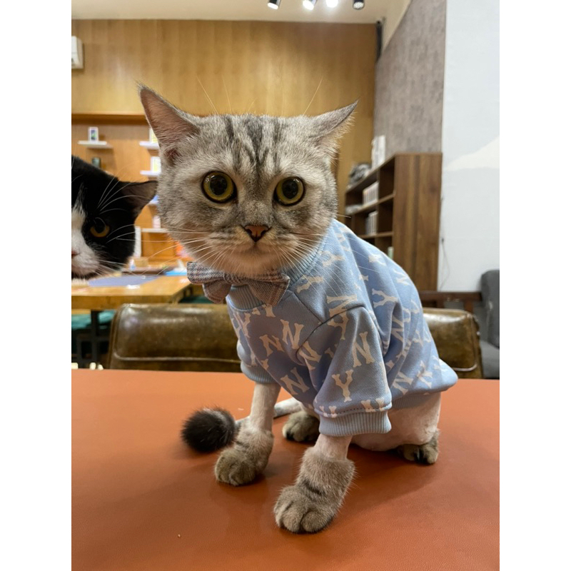 Áo nỉ NY cho chó mèo