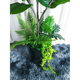 Bàng sing 1m2 Decor sẵn y hình