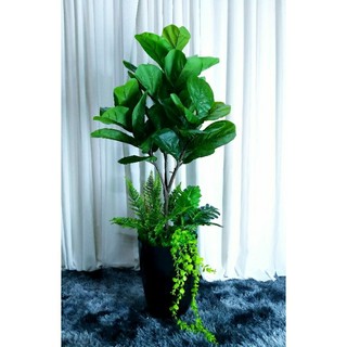 Bàng sing 1m2 Decor sẵn y hình