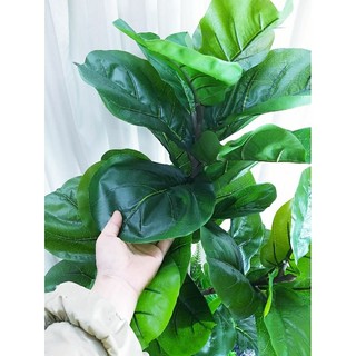 Bàng sing 1m2 Decor sẵn y hình